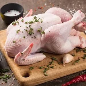 Chicken Whole Broiler - soft